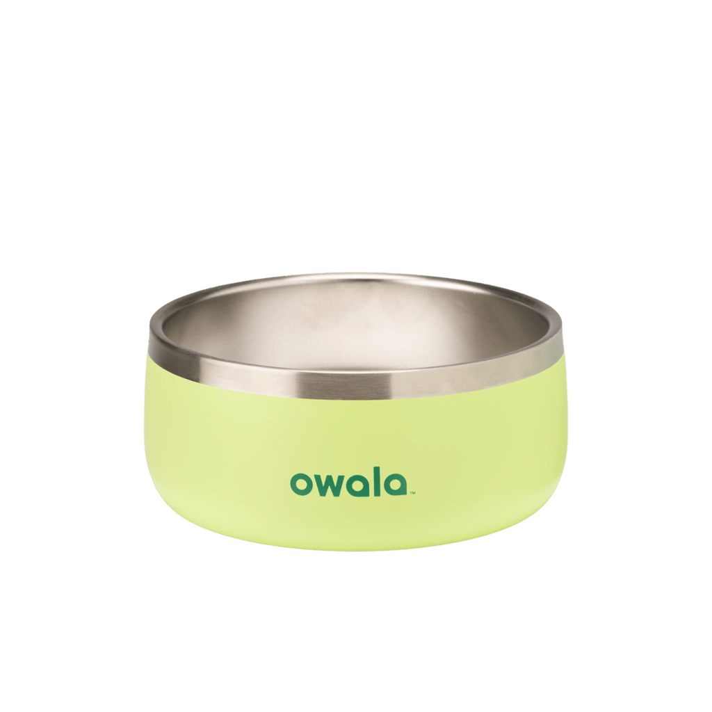 Pet Bowl [Y7B1]