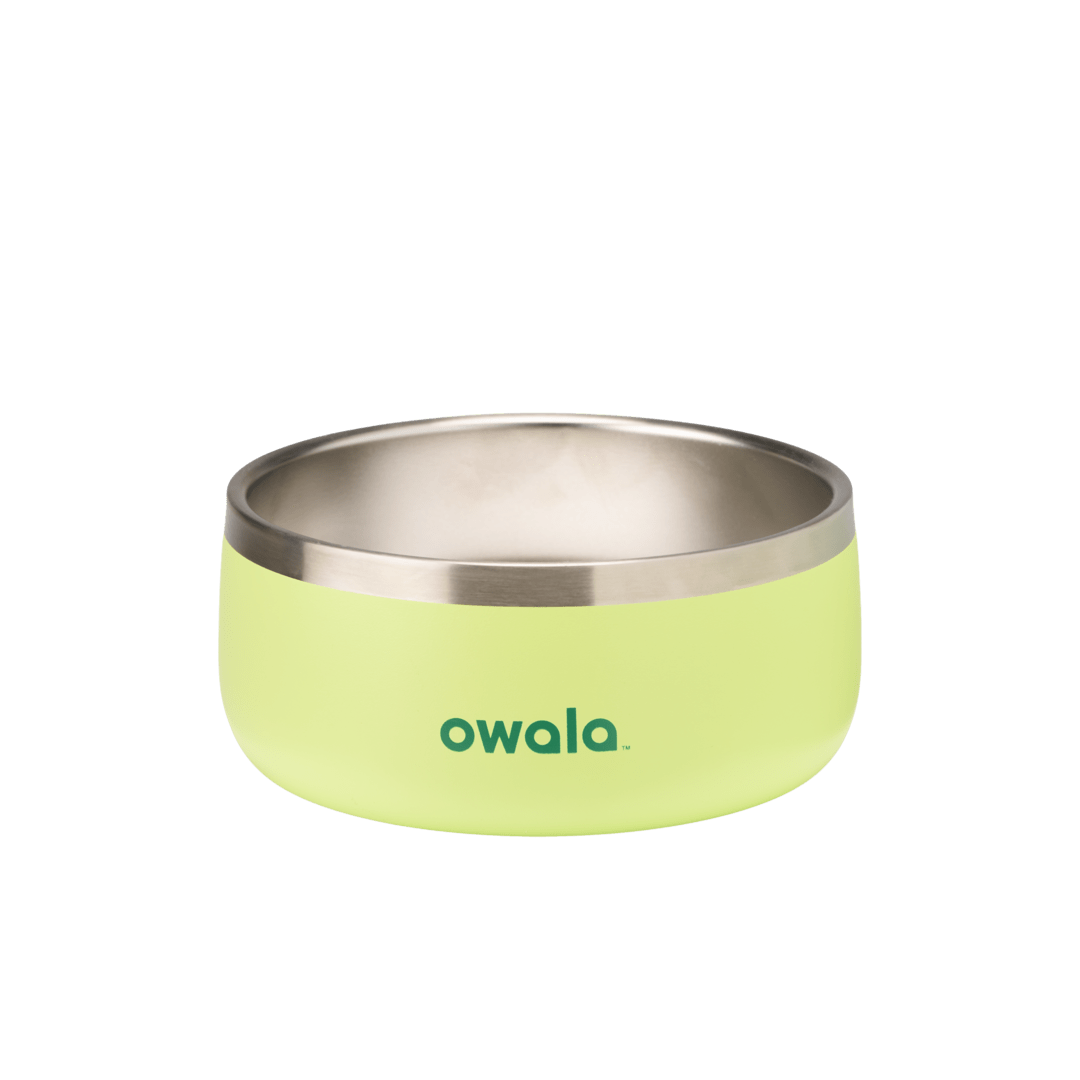 Pet Bowl [Y7B1]