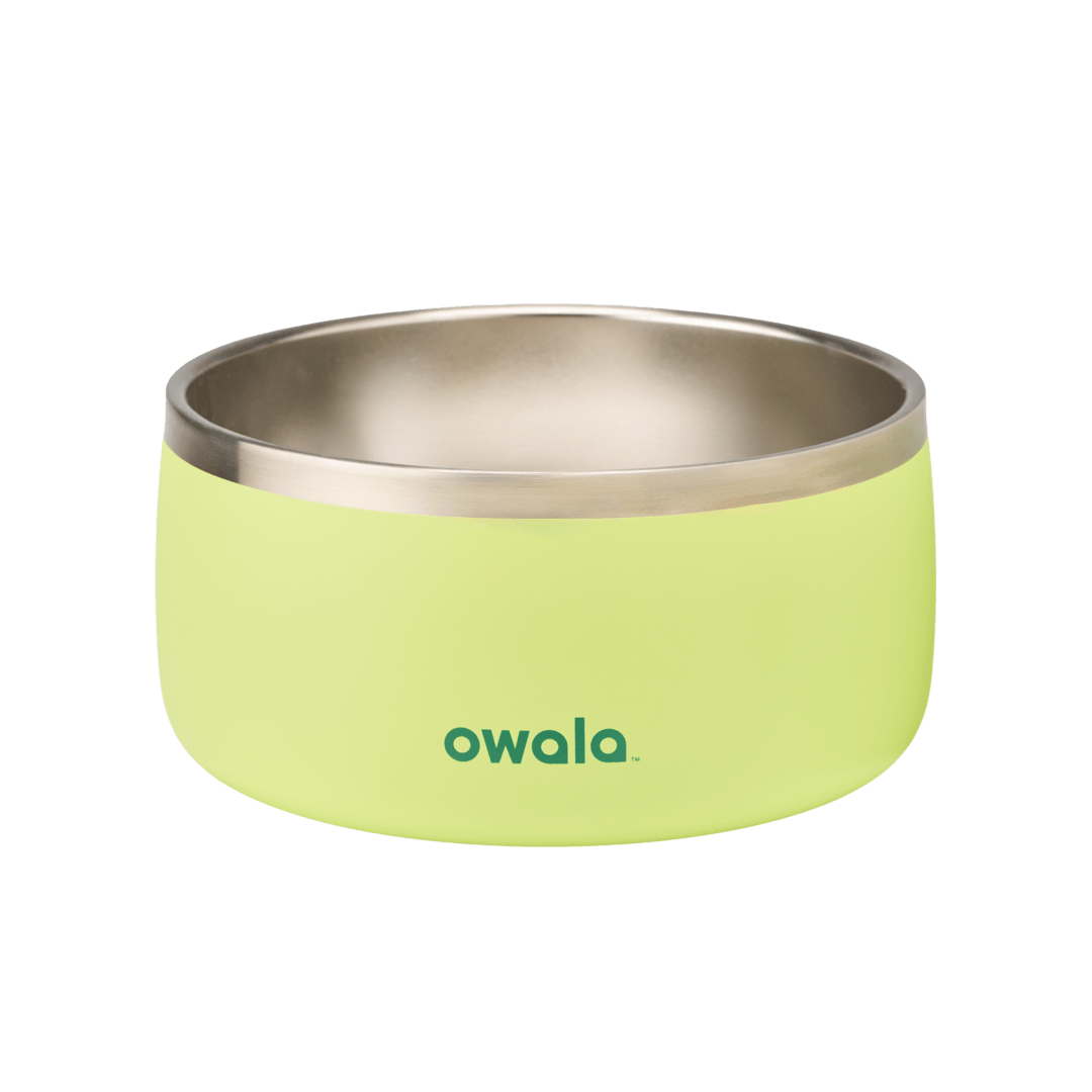 Pet Bowl [Y7B1]