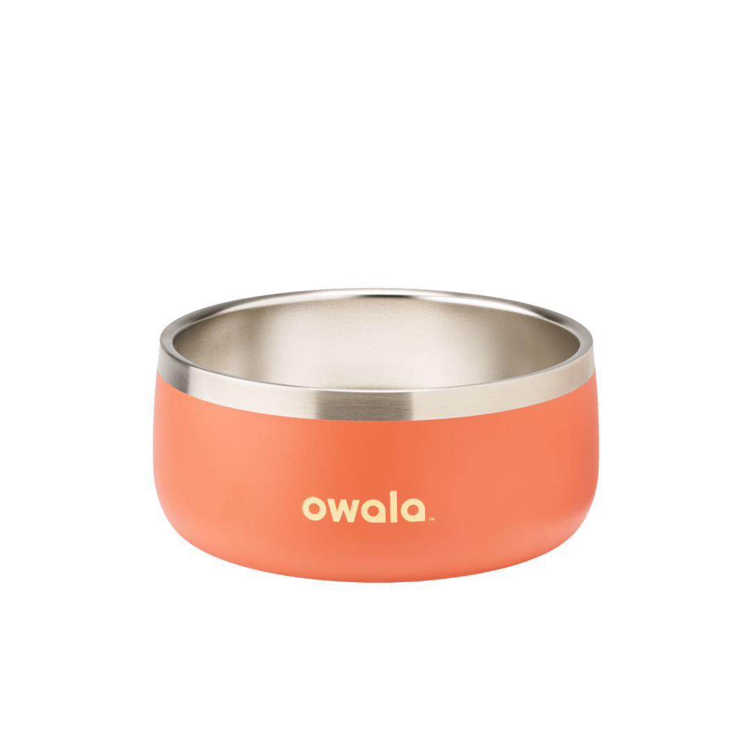 Pet Bowl [Y7B1]