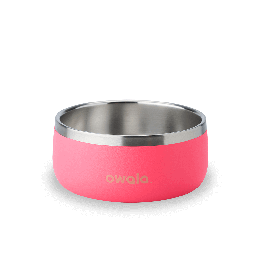 Pet Bowl [Y7B1]