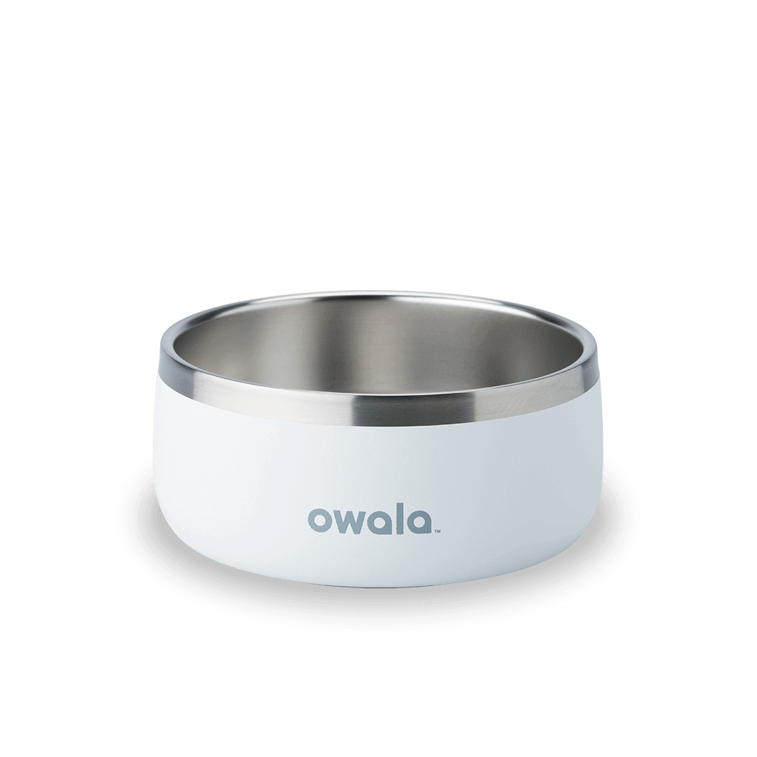 Pet Bowl [Y7B1]