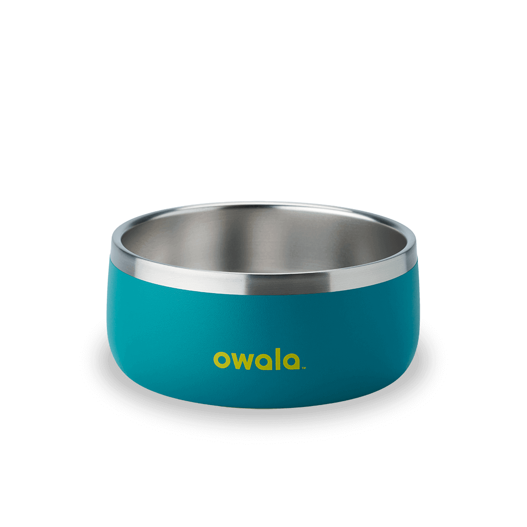 Pet Bowl [Y7B1]