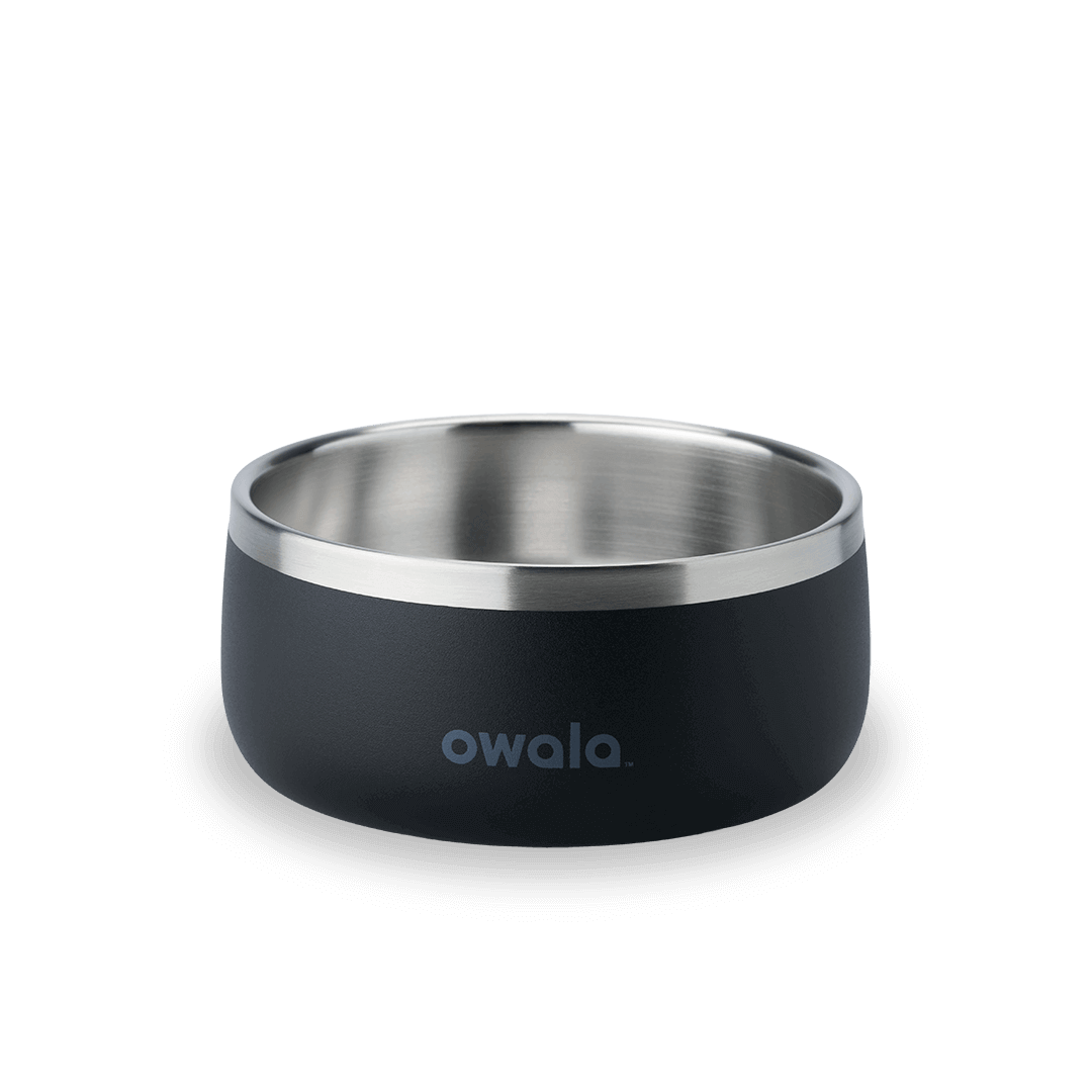Pet Bowl [Y7B1]