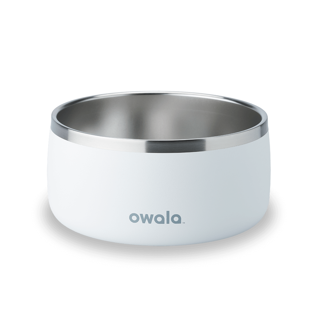 Pet Bowl [Y7B1]