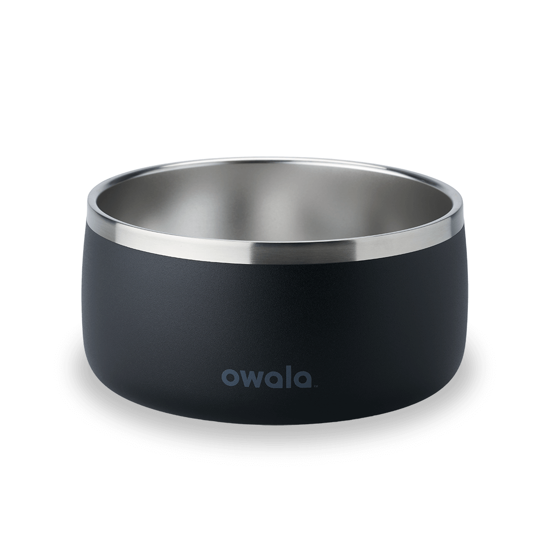 Pet Bowl [Y7B1]